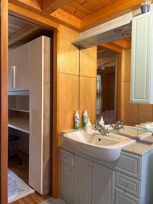 A Hilarious Hideaway In Roveredo Apartment Luaran gambar