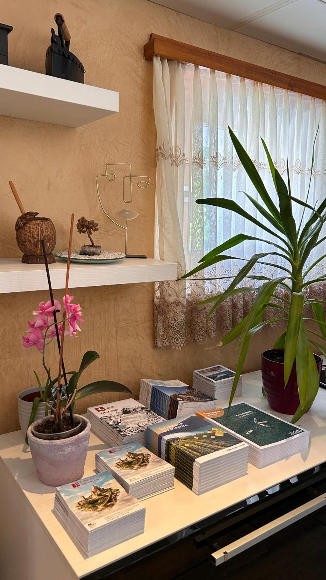 A Hilarious Hideaway In Roveredo Apartment Luaran gambar